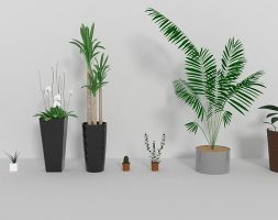 Indoor plants Free 3D model