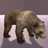 Grizzly Bear Free low-poly animated 3D model